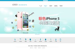 引领数字未来 某数码产品公司一站式信息技术咨询服务